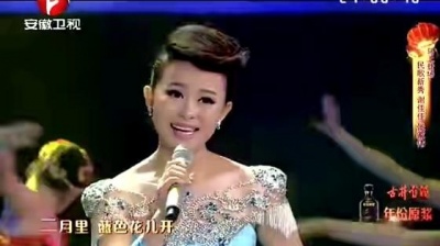 陈雨琪、罗汉 - 安徽民歌联唱 (feat. 罗汉) [2014安徽卫视春晚 Live]