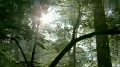 杜春梅 - 一生有你有我