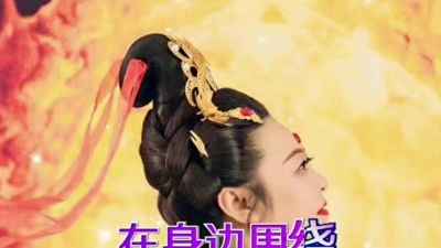音乐人何秀芳 - 想你想的睡不着