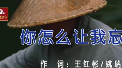 王馨 - 你怎么让我忘记