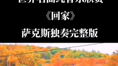 正经的知识 - #上热门 #世界名曲纯音乐欣赏 #回家 #萨克斯独奏超长完整版