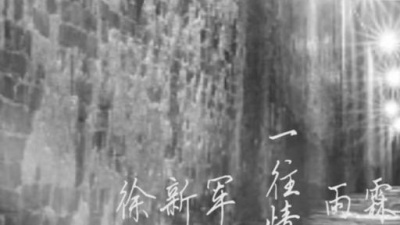 雨霖枫、徐新军 - 一往情深