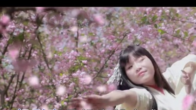 邱洪 - 桃花缘