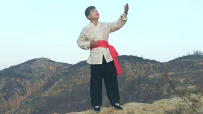 张宁宁 - 不见黄河心不死