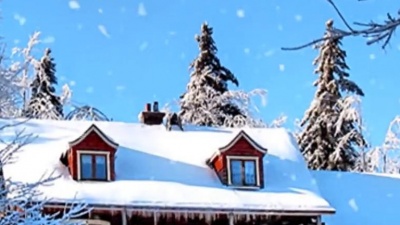Elvis Presley - Blue Christmas