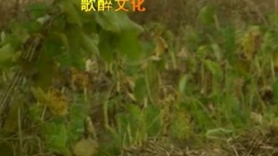 万海东 - 你的欺骗我的失眠