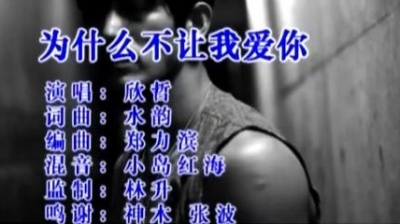 欣哲 - 为什么不让我爱你