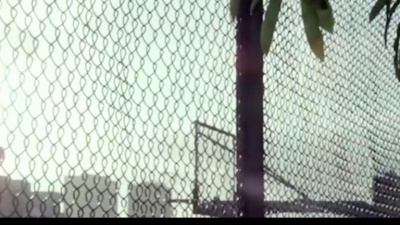 是二智呀 - 有幸来过