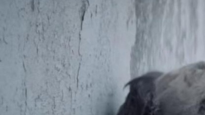 Robin Schulz、Ilsey - Headlights