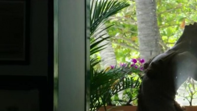 Ricky Martin、Yotuel - La Mordidita