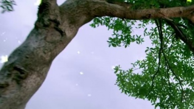 刘一祯 - 桂花香
