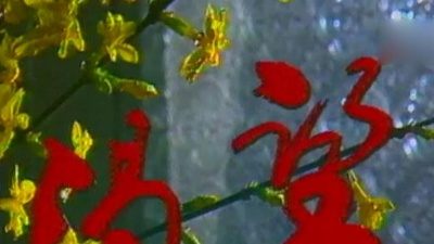李娜 - 好人一生平安
