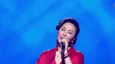王莹 - 美丽的神话