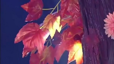 安与骑兵 - 红山果