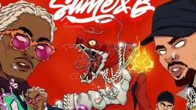 Chris Brown、Young Thug - Animal
