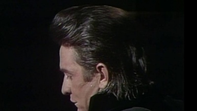 Johnny Cash - Flesh And Blood