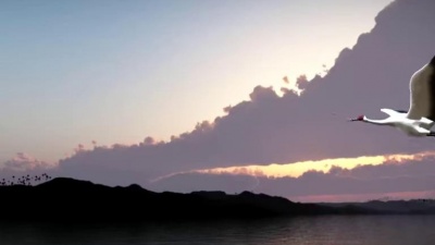 宇海文 - 鹤乡情
