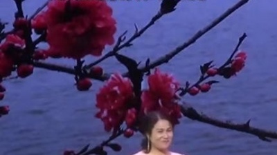 黄梅真有戏 - 黄梅戏《牛郎织女》喜从天降：风吹稻花香阵阵，难得相逢在人间！