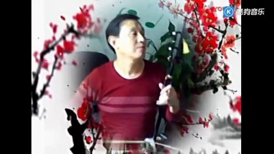 金碧芙蓉 - 二胡独奏《花溅泪》，一拉一推曲中味