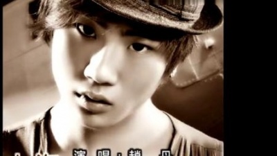赵丹 - 人海茫茫 (KTV版)