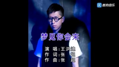 王洪迪 - 梦见你会来