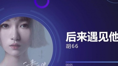 花僮、王忻辰、潇公子(刘潇)、山水组合、小阿枫、阿YueYue、胡66、小乐哥(王唯乐)、回小仙、秋原依、IN-K - 2020年星曜计划爆款歌曲