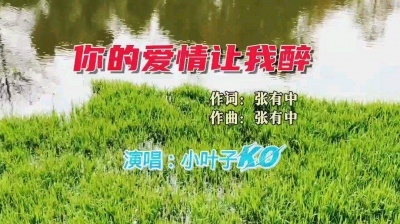张有中 - 小叶子《你的爱情让我醉》旋律优美歌声动听