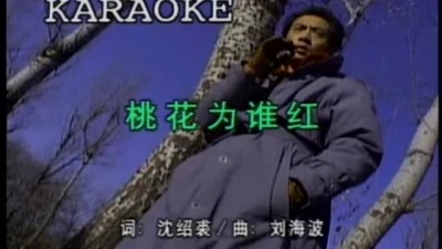 刘海波 - 桃花为谁红