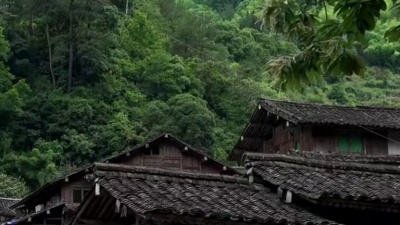 西贝爱音乐 - 韩宝仪一首经典情歌《阿美阿美》瞬间唤醒青春记忆