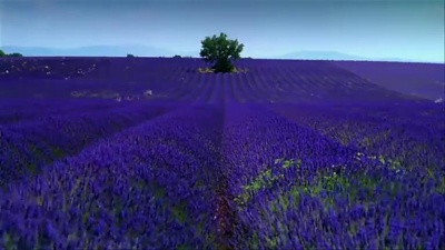 Chris Spheeris - Sapphire蓝宝石