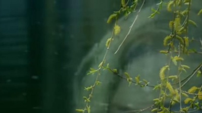 Yanni - The Rain Must Fall