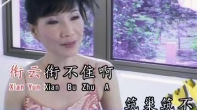 刘秋仪 - 雁儿在林梢 (KTV版)