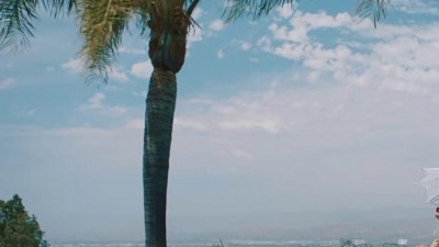 Rita Ora、Sigala - You for Me