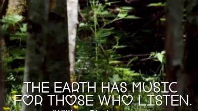 Leo Rojas - Flying Heart