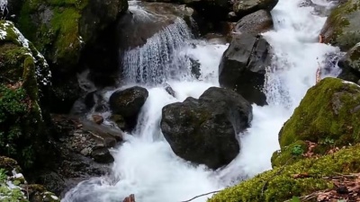 廖昌永 - 红梅花儿开