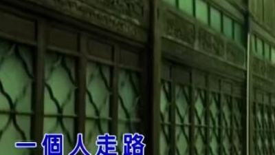 林芋先 - 爱情伤心雨