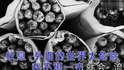 黄淑惠 - 危险世界