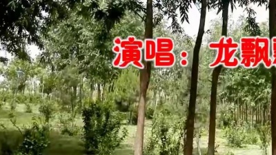 蜜桃爱听音乐 - 龙飘飘一首《风说你要来》经典老歌，旋律悠扬动听，回味无穷！