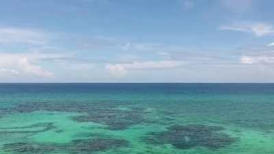 辛逸、管志豪 - 英雄的黎明
