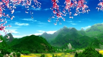 李红 - 我的桃花乡