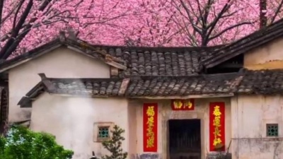 音乐人王臣玉 - 想念爹和妈mv