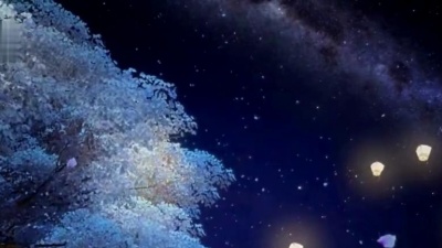 小爱的妈 - 陌上花开
