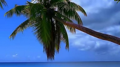 Bandari - Caribbean Blue