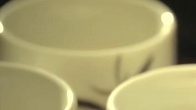 排骨教主 - 明月本无心