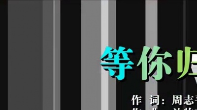 倪尔萍 - 等你归来
