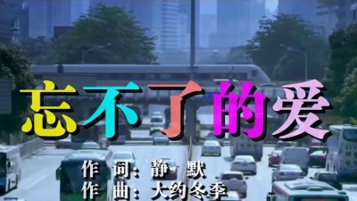 钰柃 - 忘不了的爱