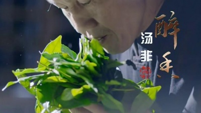 汤非 - 醉香