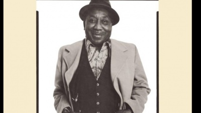 Muddy Waters - Mannish Boy