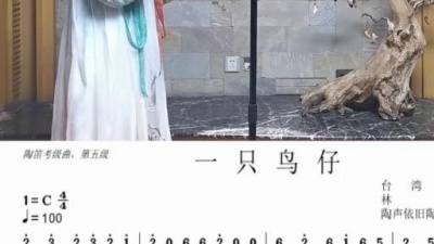 吃瓜族长 - 陶笛考级曲，第五级《一只鸟仔》
