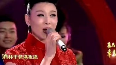 韩再芬 - 年夜饭 [2014安徽卫视春晚 Live]
